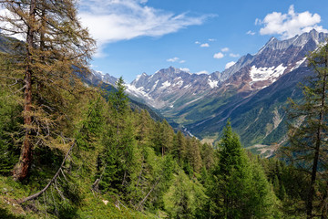 Fototapeta na wymiar Ansicht des Lötschentals, Kanton Wallis, Schweiz