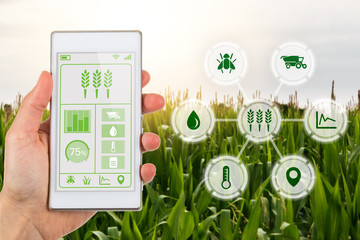 Agritech concept smartphone app with graphic display agricultural icons © lukesw