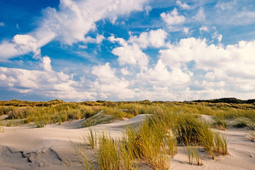 Nordsee, Strand auf Langeoog: Dünen, Meer, Entspannung, Ruhe, Erholung, Ferien, Urlaub, Glück, Freude,Meditation :) 