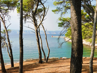 Fototapeta na wymiar The coast of Hvar, a Croatian island with a pine forest and azure sea