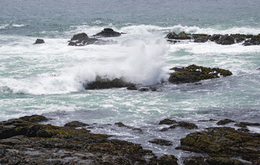 Waves crashing in high surf on the N. California coast