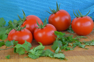 fresh ripe tomatoes and cilantro on cutting board