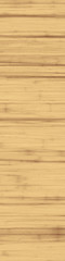 light poplar wood texture background