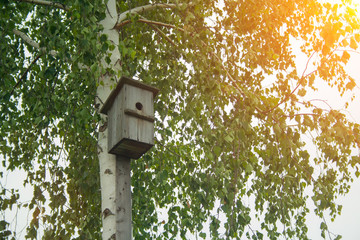 Old hand-made feeding trough