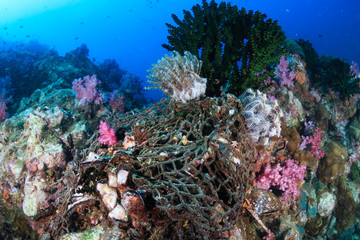 Fototapeta na wymiar An abandoned ghost fishing net tangled on corals on a tropical reef