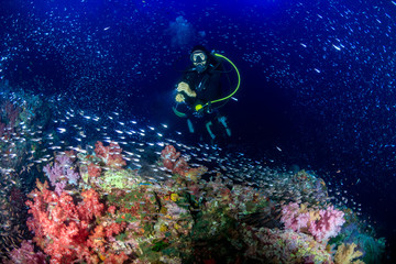 SCUBA diver on a colorful tropical coral reef at dusk