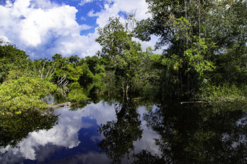 Arapiuns river - Santarem - PA