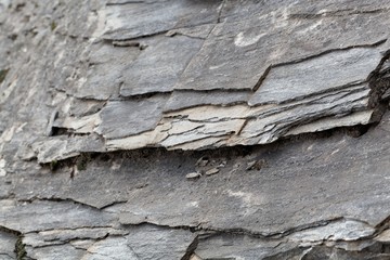 Green schists of Paleozoic age from the Alps