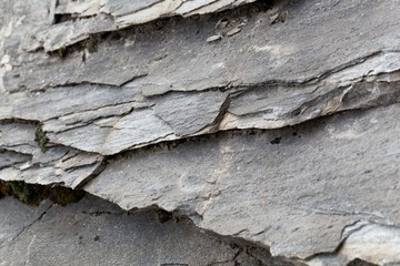 Green schists of Paleozoic age from the Alps