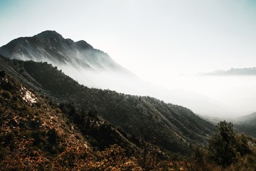 Fog rolls past the peak of La Campana in Parque Nacional La Campana near Valparaíso, Chile - 217598816