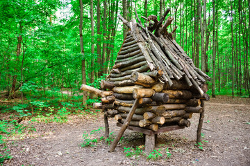 the Hut of Baba-Yaga in the forest