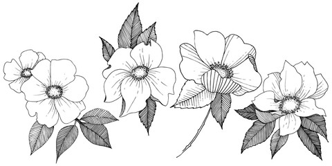 Wild rose in a vector style isolated. Full name of the plant: rose. Vector flower for background, texture, wrapper pattern, frame or border.