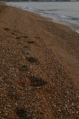 footprint on sand beach