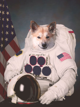 The Cosmonaut Dog Dressed In A Space Suit