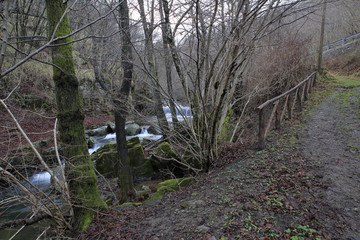 Paesaggi via Modenese