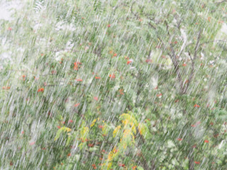 Thunderstorm with heavy hail and sleet showers in summer, blurred background. Natural cataclysm....