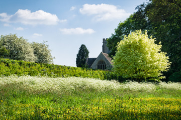 English Meadow
