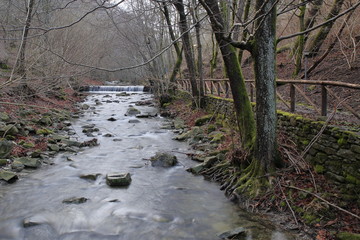 Paesaggi via Modenese