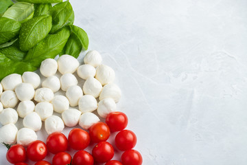 Italian flag made with Tomato Mozzarella and Basil. The concept of Italian cuisine on a light background. Top view with copy space. Flat lay