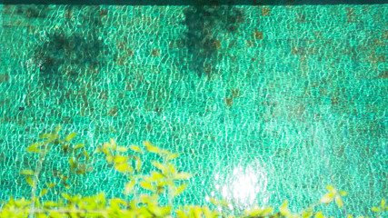 tropical swimming pool background