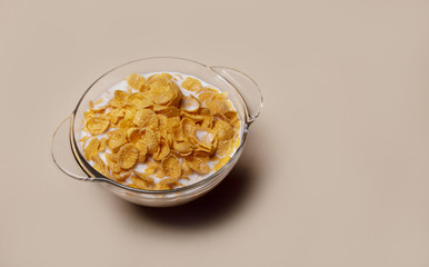 corn flakes in a glass plate with milk on a gray background