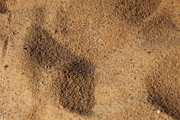 Sand beach background