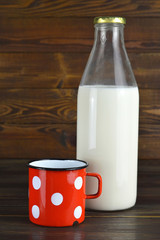 Milk in a bottle and a cup of milk