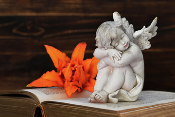 Angel, lily flower and old book