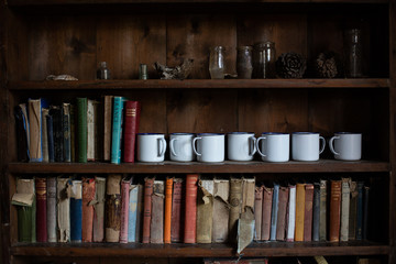 A book case with a collection of items