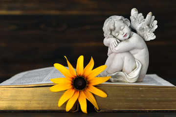 Angel, yellow flower and old book