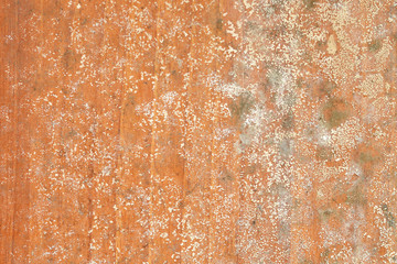 Mold on wooden background