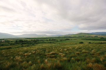 Sea & Countryside: Ireland