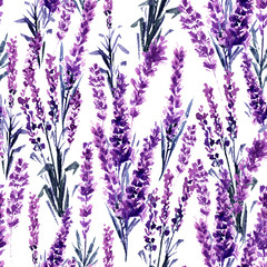 Lavender Field Seamless Pattern. Watercolor or Aquarelle Paintings of Provence Lavandula. Hand Drawn Tea Herbs Flower. Summer Blossom or Foliage of Garden Plant in Aquarelle. Nature and Perfume. - 217617232