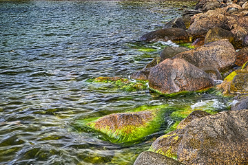 Fototapeta na wymiar Group of Sea Stones Formation Covered with Green Algae and Photographed on Water Streams