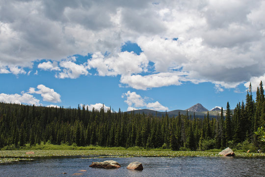 Pond with trees surrounding and mountain background in Indian Peaks Wilderness