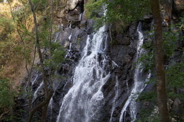 Naklejka premium Naturaleza