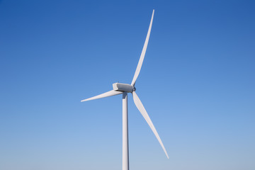 Fototapeta premium Windmills along the Netherlands coast