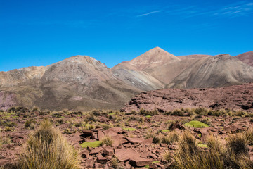 Desert & Mountain #4