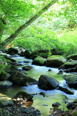 Ulfenbach