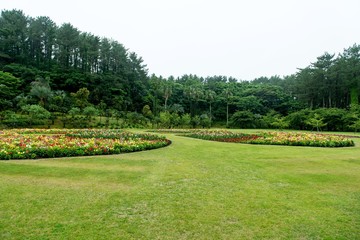 Fototapeta premium 円形花壇のある公園