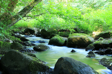 Ulfenbach