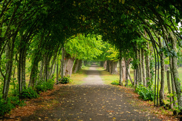 Green Avenue