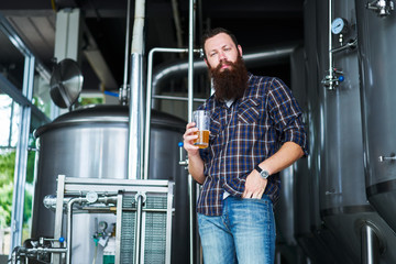 portrait of man with craft beer from brewery