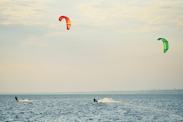 people swim in the sea on a kiteboard or kitesurfing