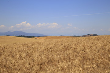 Paesaggio Toscano