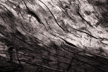Closeup macro image of aged vintage and well worn wood in color with grains and cracks on the aged wooden surface