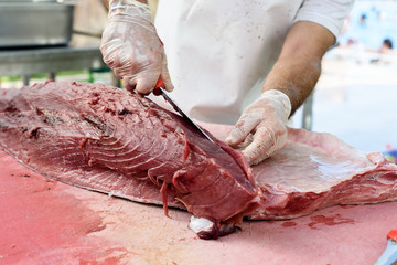 Man with a chefs kitchen knife wearing rubber gloves cuts and slices a very big fresh tuna fish...