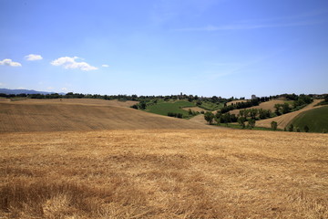 Obraz premium Paesaggio Toscano