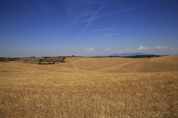 Paesaggio Toscano