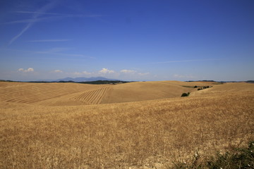 Paesaggio Toscano